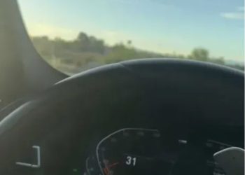 «C´est fini»: Pareja de Jorge Almirón espoileó desenlace del ténico en Chile